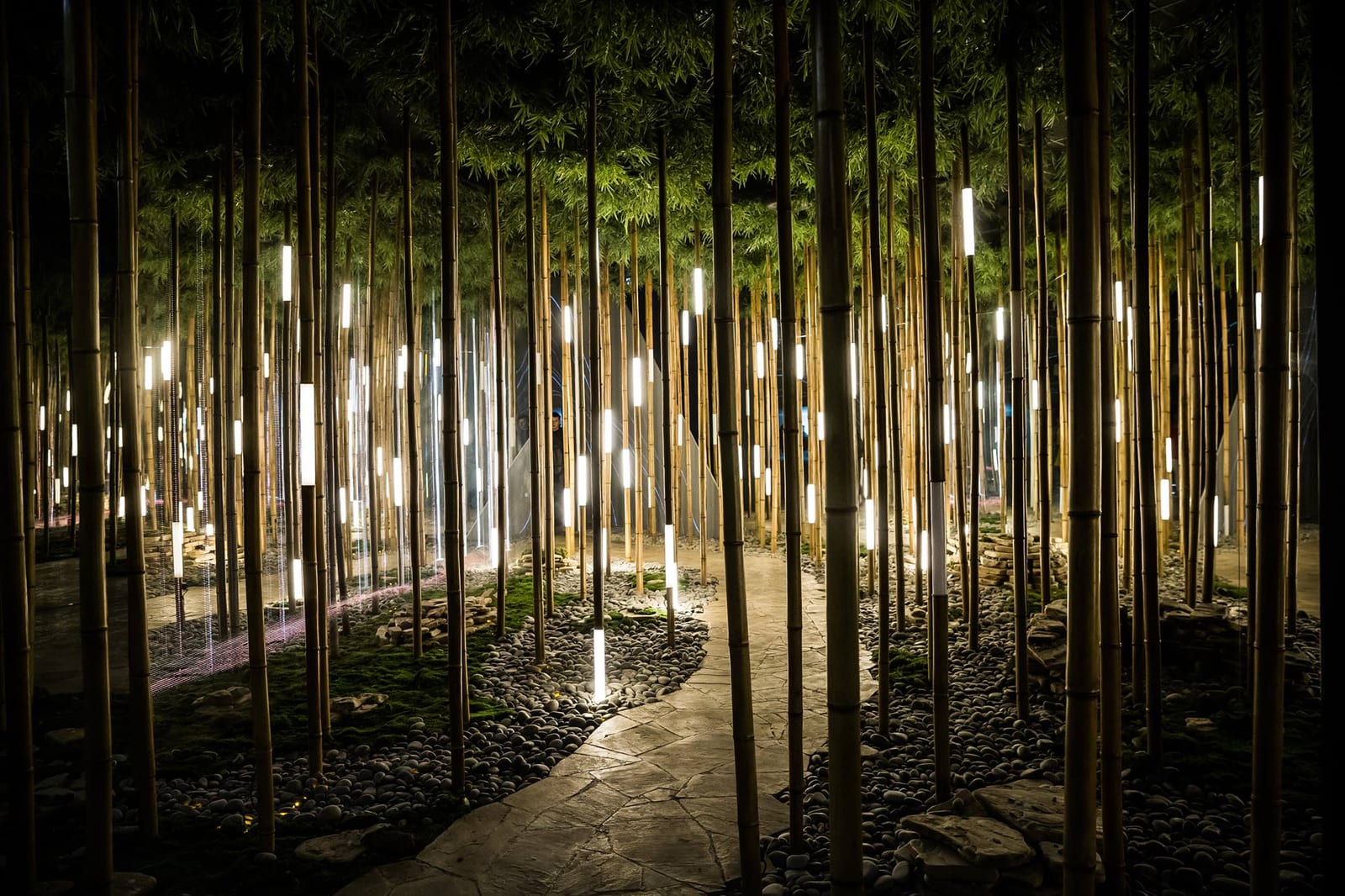 Bamboo Grove