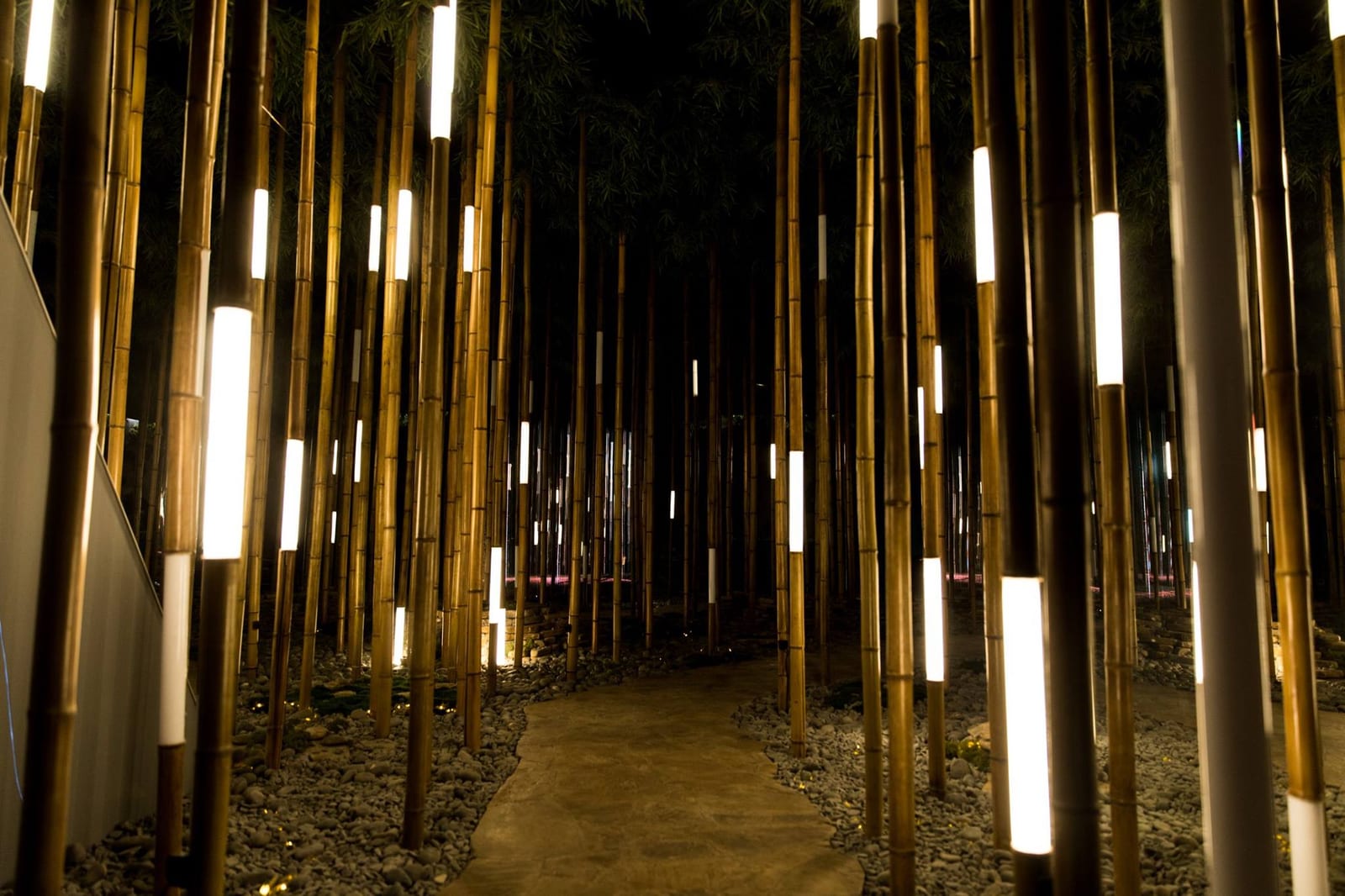 Bamboo Grove — 1