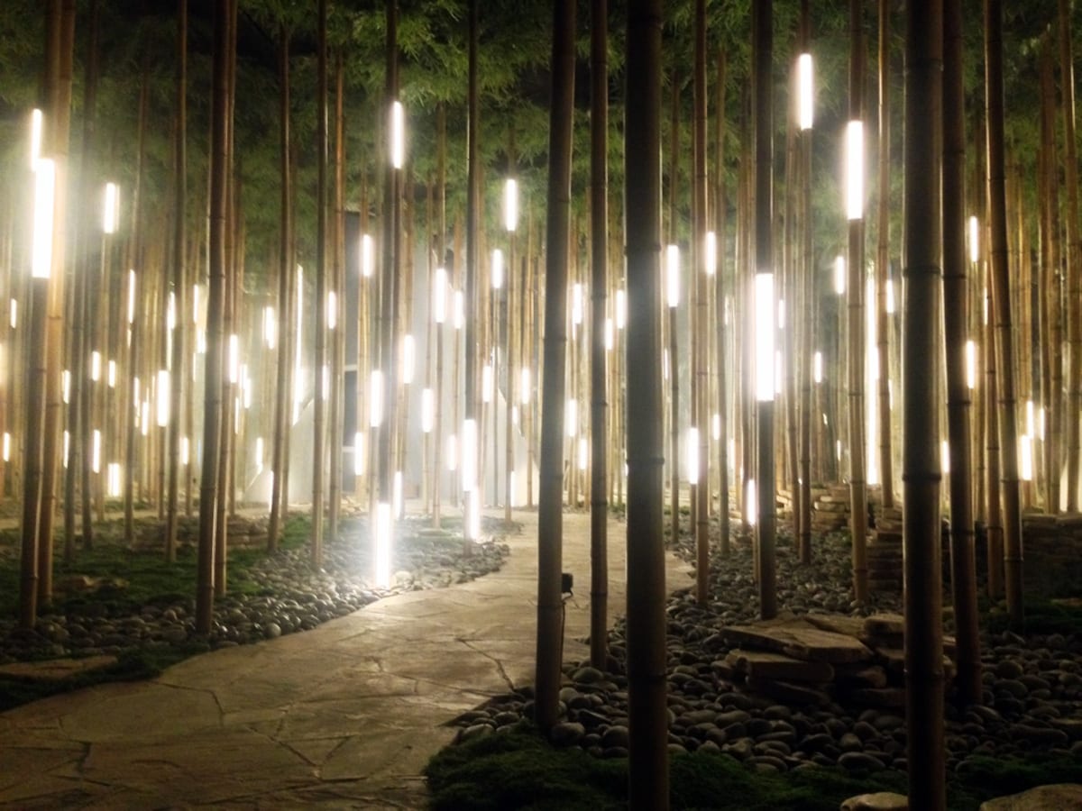 Bamboo Grove — 2