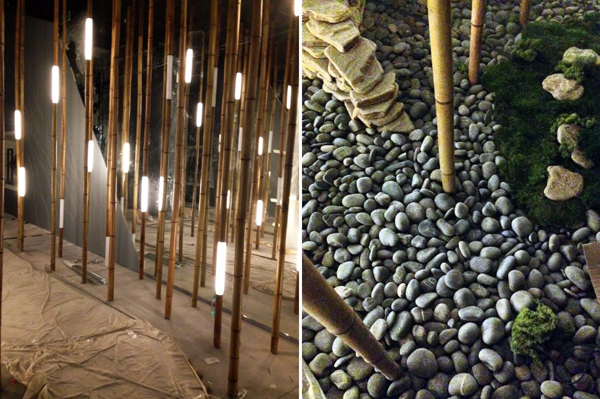 Bamboo Grove — 6