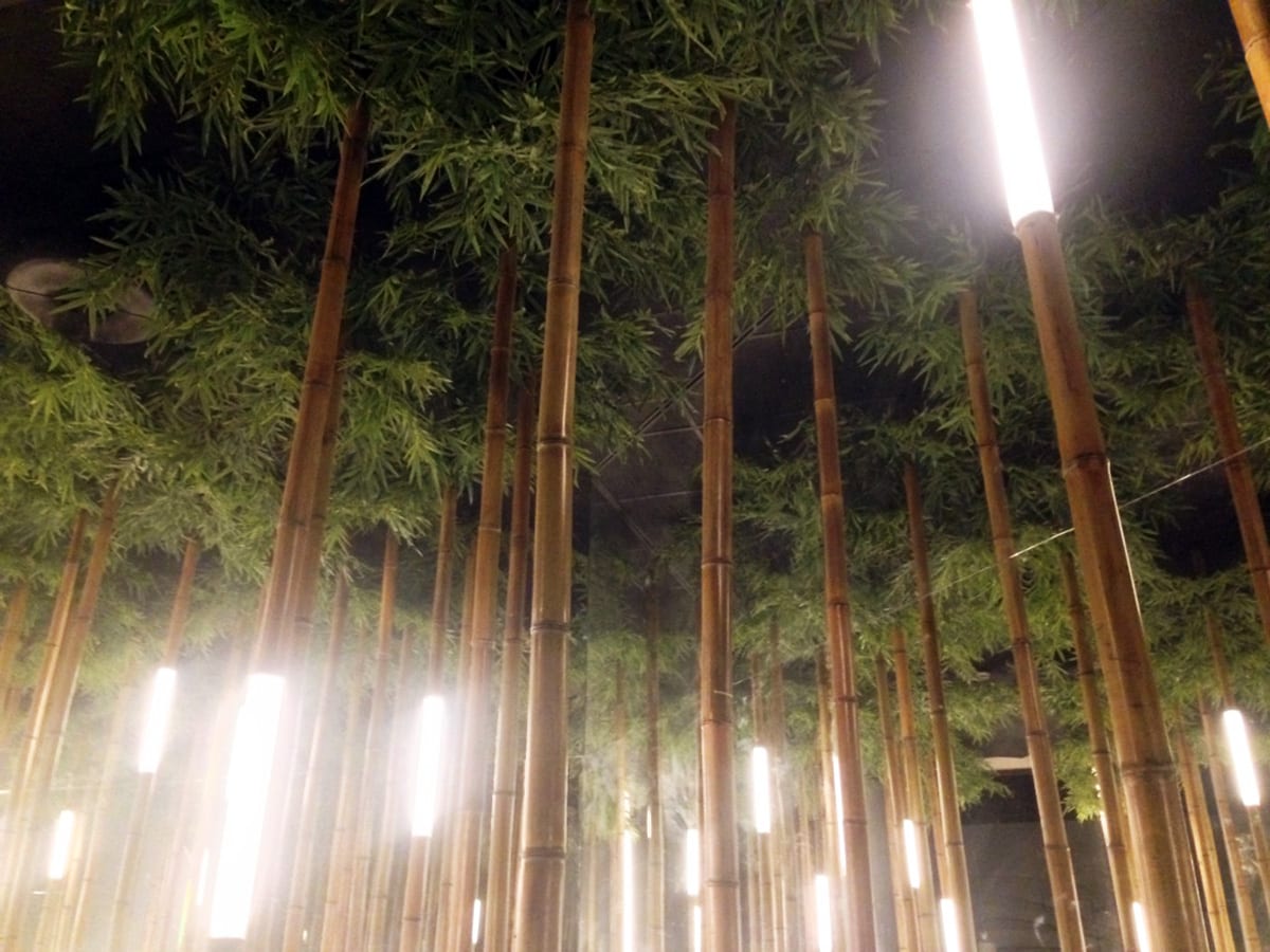 Bamboo Grove — 7