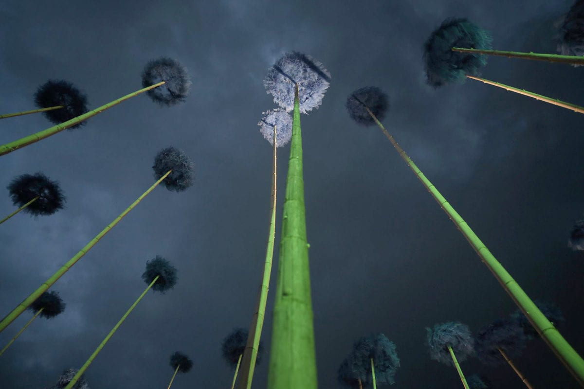 Blue Fennel — 7