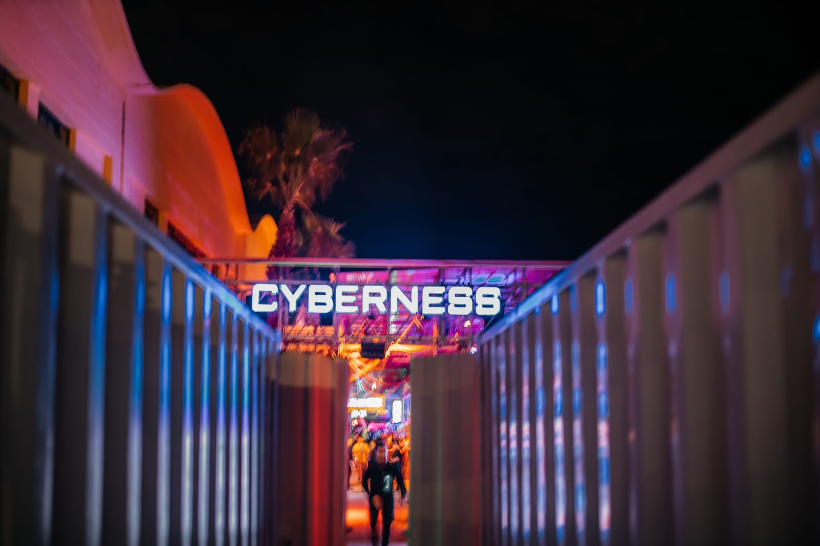 CYBERNESS MARKET — 7