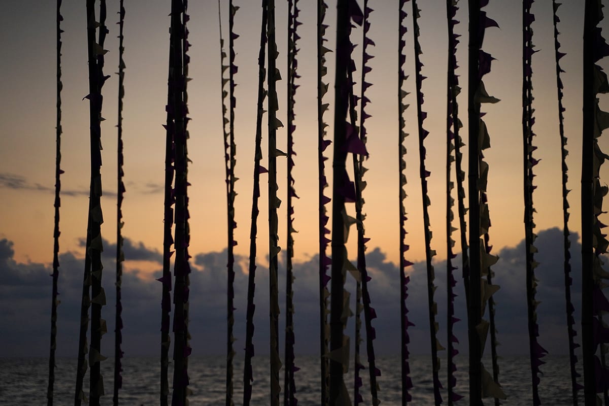ECHOWAVES — 8