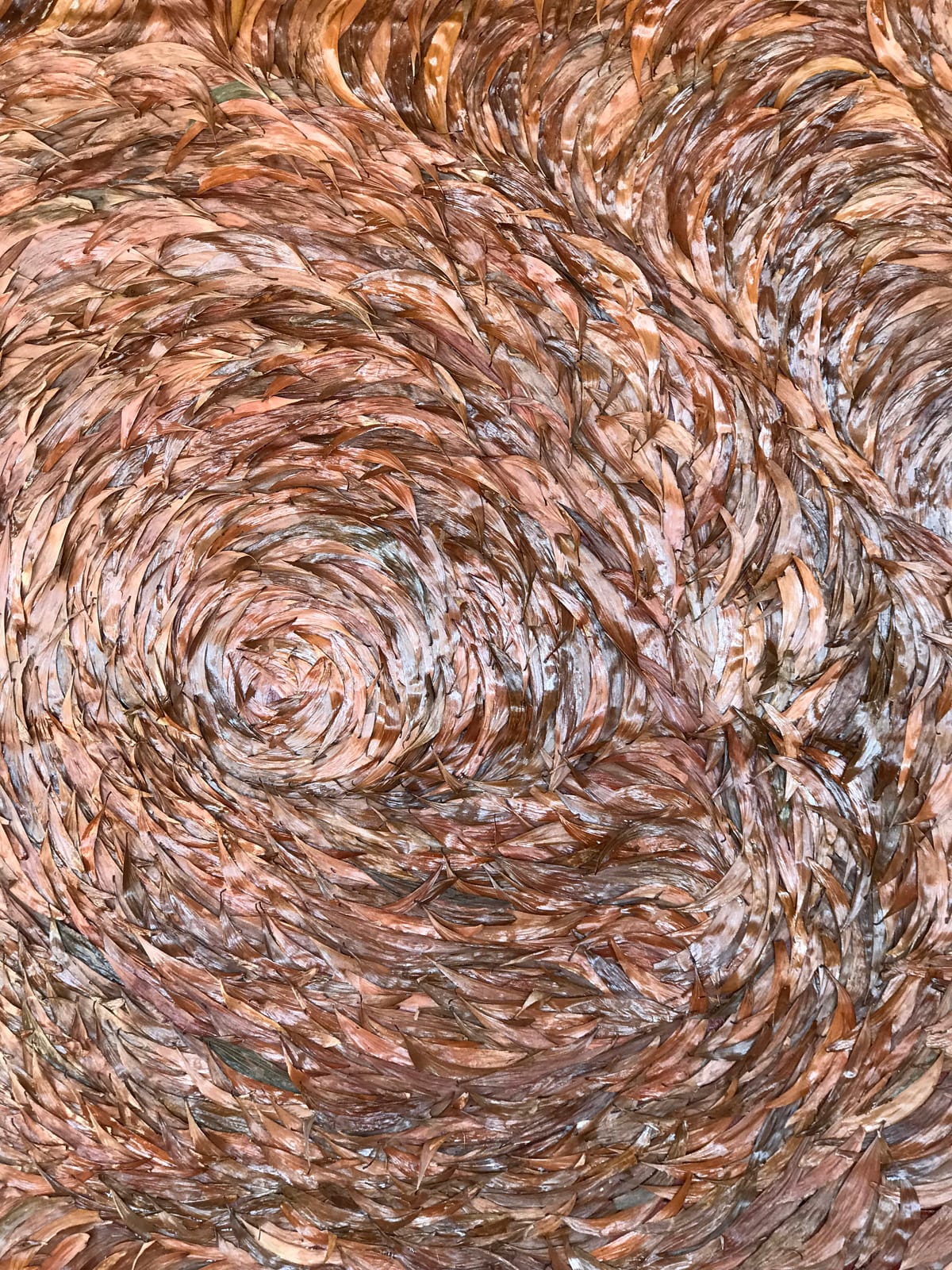 EPIZODE