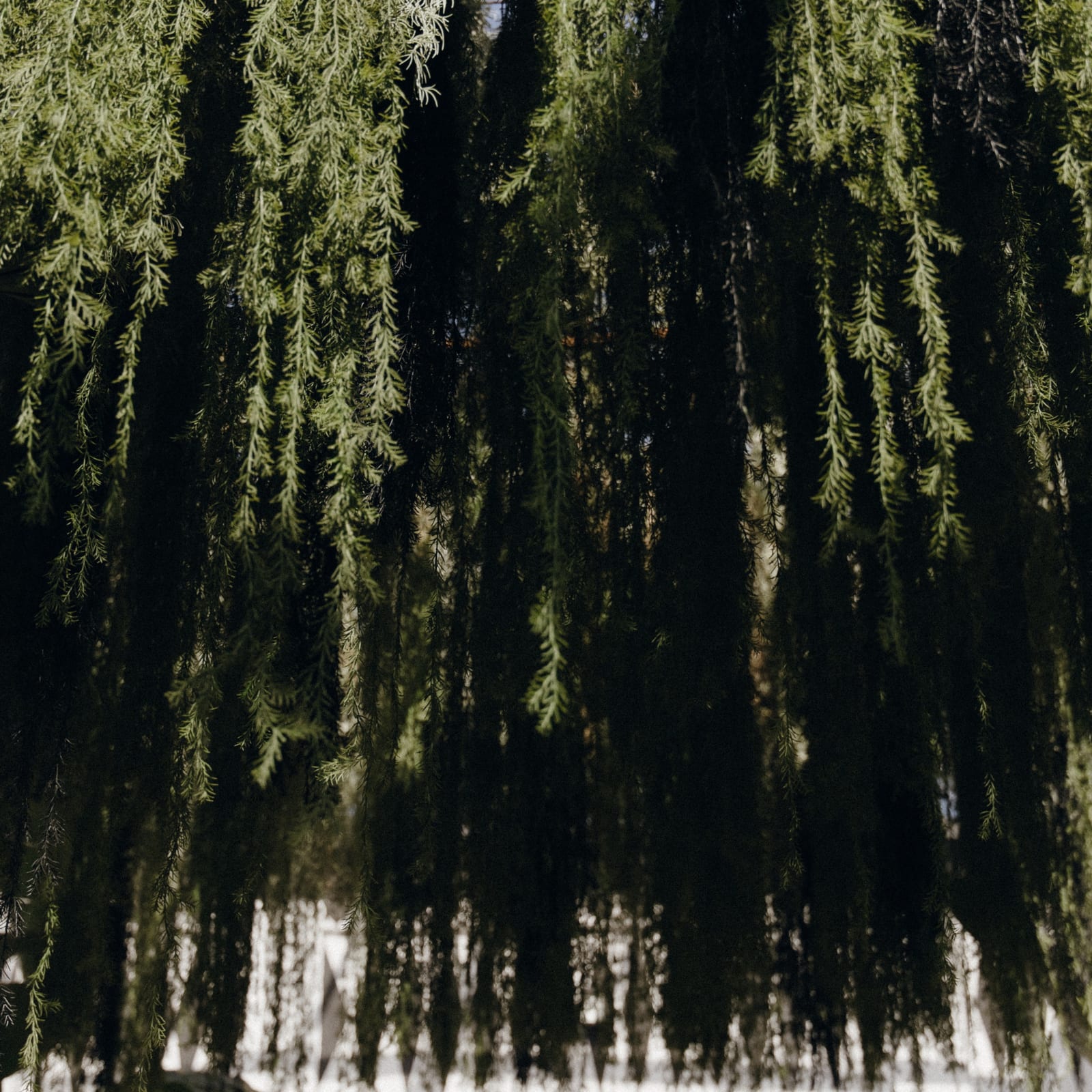 MOROCCO — 7
