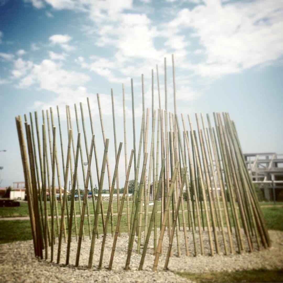 Shell — 1