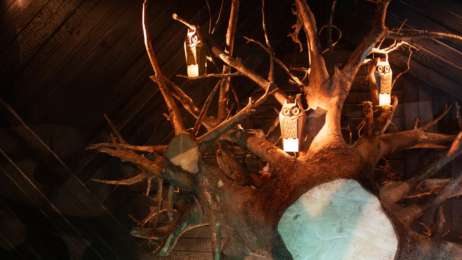 WOODZ — 1