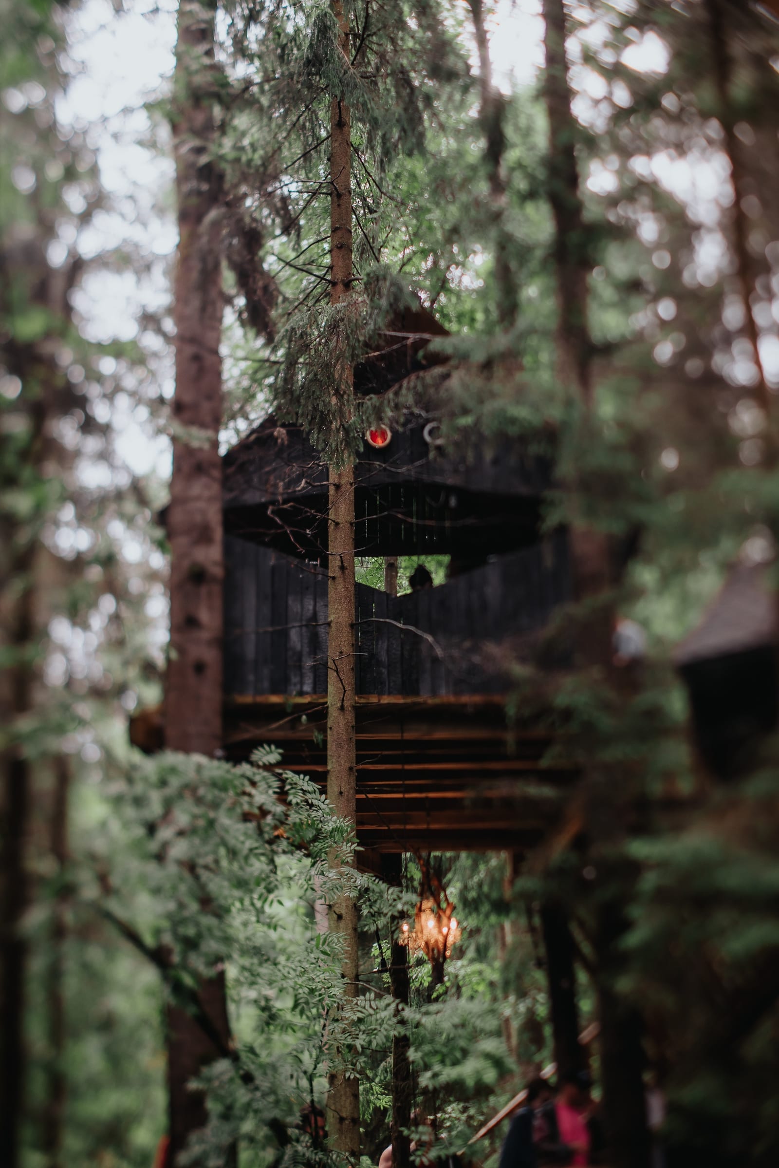 WOODZ — 38
